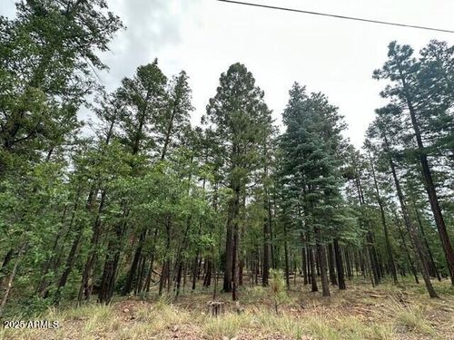 10171052-2076 Buttermilk Ln, Alpine, AZ, 85920 | Card Image