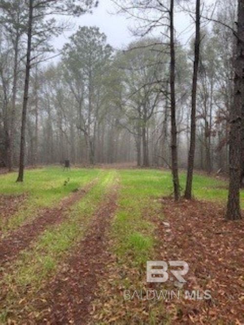 0 Eastward Rd, Jackson, AL, 36545 | Card Image
