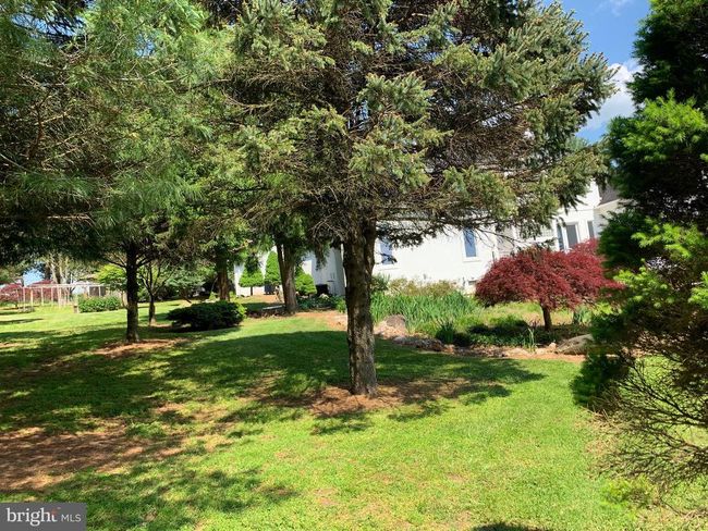 6502 Old Middletown Rd, House other with 3 bedrooms, 3 bathrooms and null parking in MIDDLETOWN MD | Image 81
