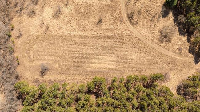DJI_0336.jpg | Image 23