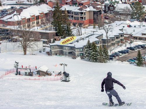 12400-Unit 171 Crystal Mountain Drive, Weldon Township, MI, 49683 | Card Image