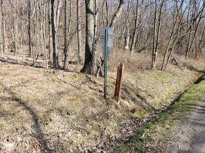 Wooded lot ready for building | Image 1