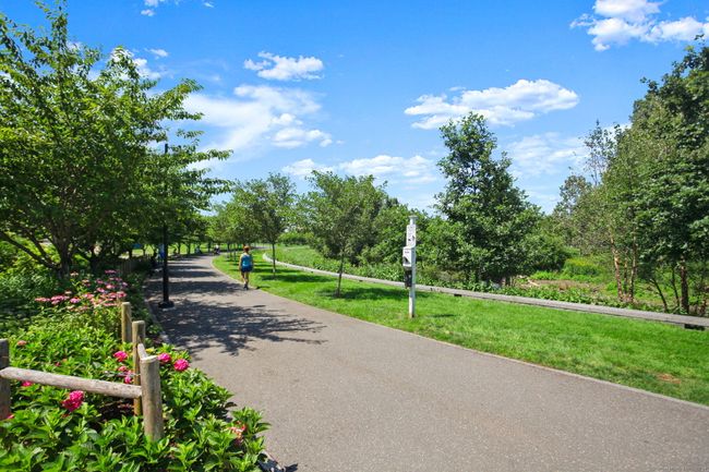 Mill River Park | Image 29