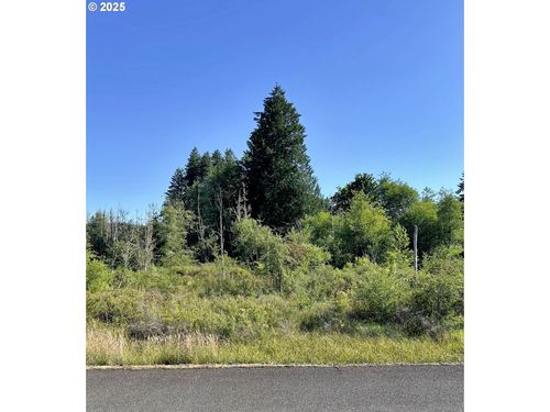 000 Basie Rd, Castle Rock, WA, 98611 | Card Image