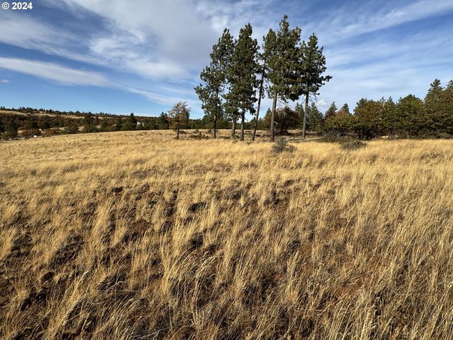 0 Jensen Quarry Rd, Home with 0 bedrooms, 0 bathrooms and null parking in Bickleton WA | Image 41