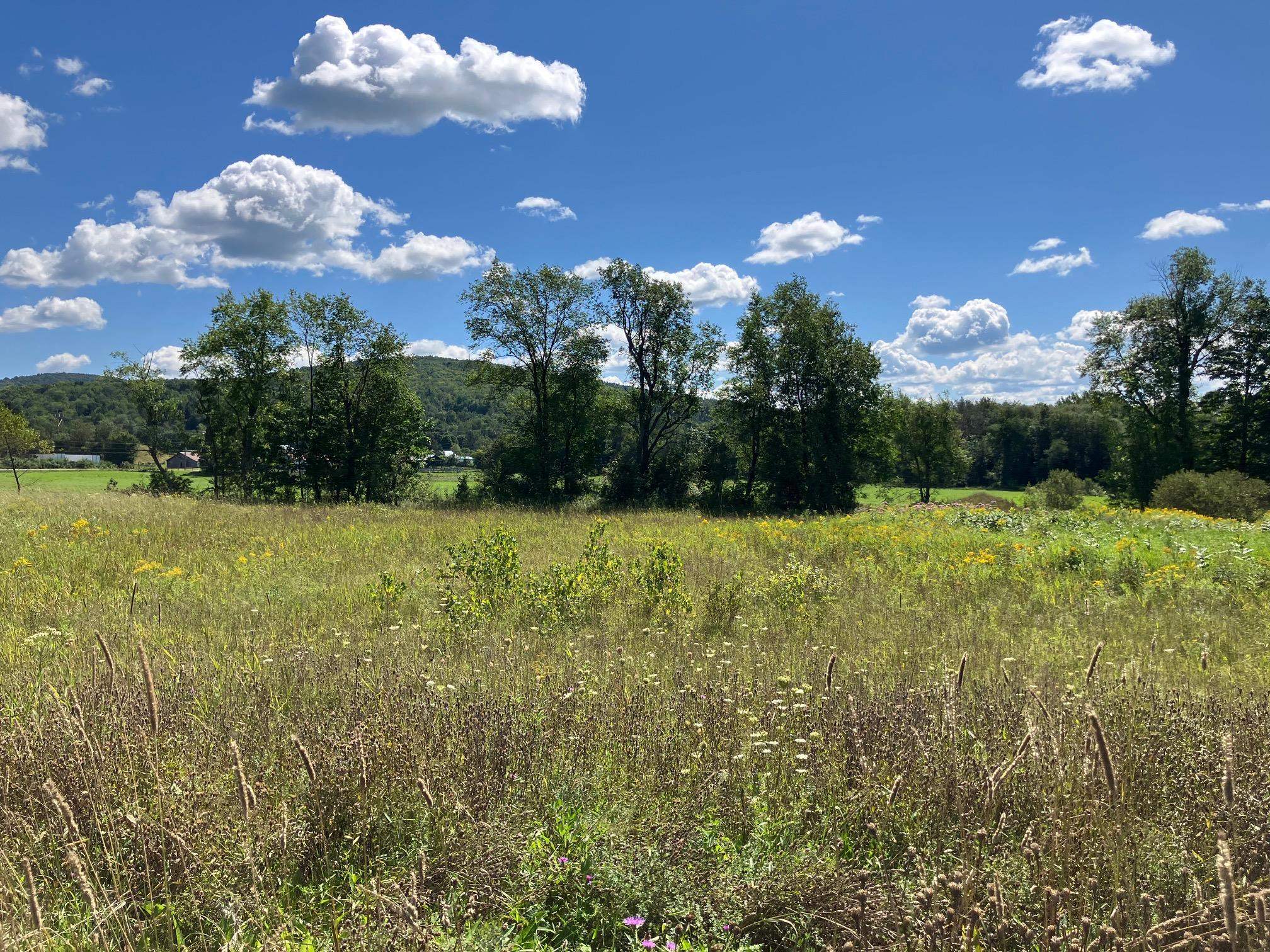 Land in Richford 3