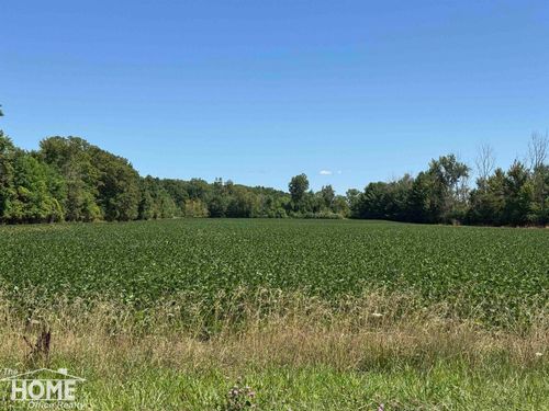 Vacant Webster Road, Mt Morris Township, MI, 48458 | Card Image