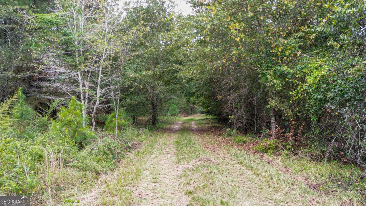 Land in Oglethorpe 2