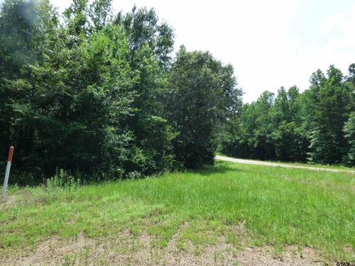 TBD Cactus Rd., Pittsburg, TX, 75686 | Card Image