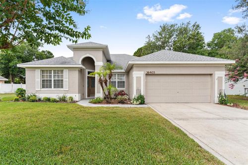 36403 Grand Island Oaks Cir, GRAND ISLAND, FL, 32735-9642 | Card Image
