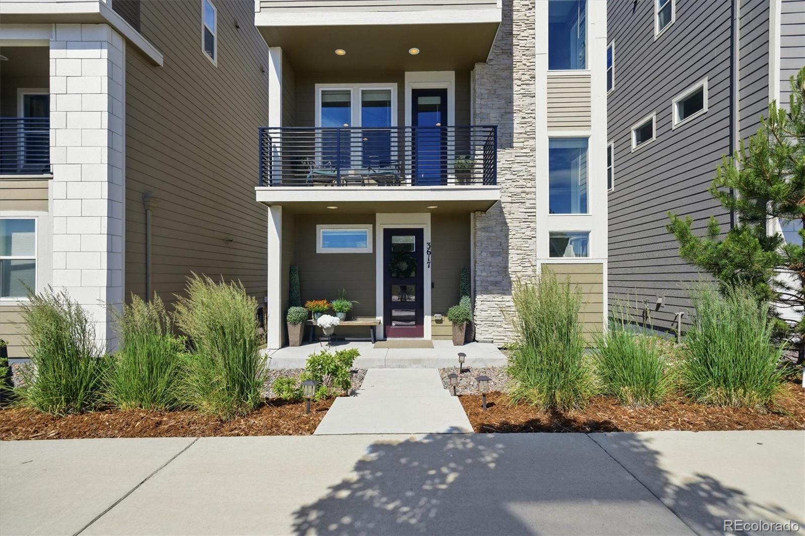 Residential in Castle Rock 5