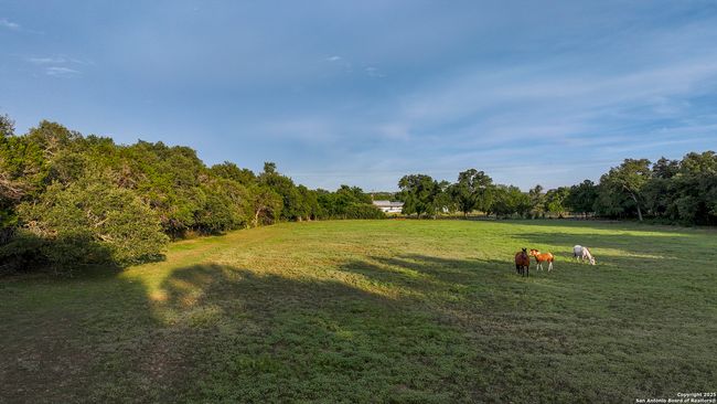 543 Narrows Rd, Home with 0 bedrooms, 0 bathrooms and null parking in Blanco TX | Image 31