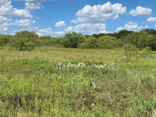 0000 County Road 334, Blanket, TX, 76432 | Card Image