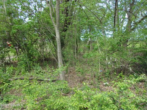 613 Montour Street, Milton, PA, 17847 | Card Image