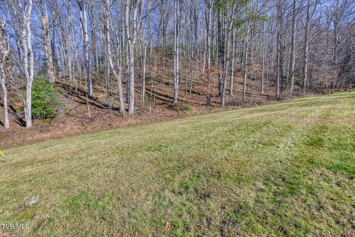 117 Buckner Drive, Roan Mountain, TN, 37687 | Card Image