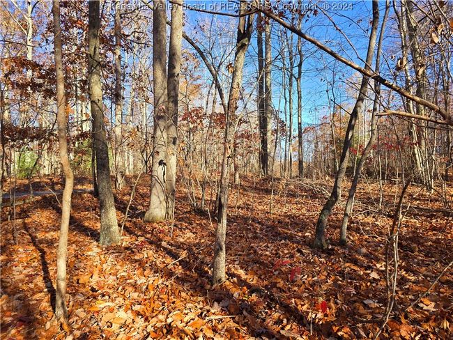 101 Chantry Ln, Home with 0 bedrooms, 0 bathrooms and null parking in Daniels WV | Image 7