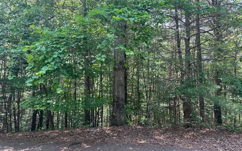  Lot 28 Aspen Avenue, Ellijay, GA, 30540 | Card Image