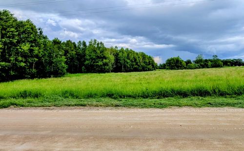 TBD 141st Ave, Osakis, MN, 56360 | Card Image