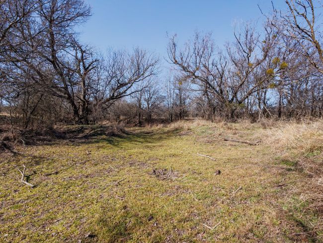 1013 County Road 153, Home with 0 bedrooms, 0 bathrooms and null parking in Blanket TX | Image 29