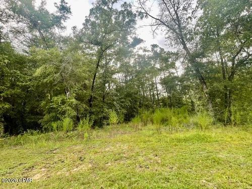 0 View Dr, Alford, FL, 32420 | Card Image