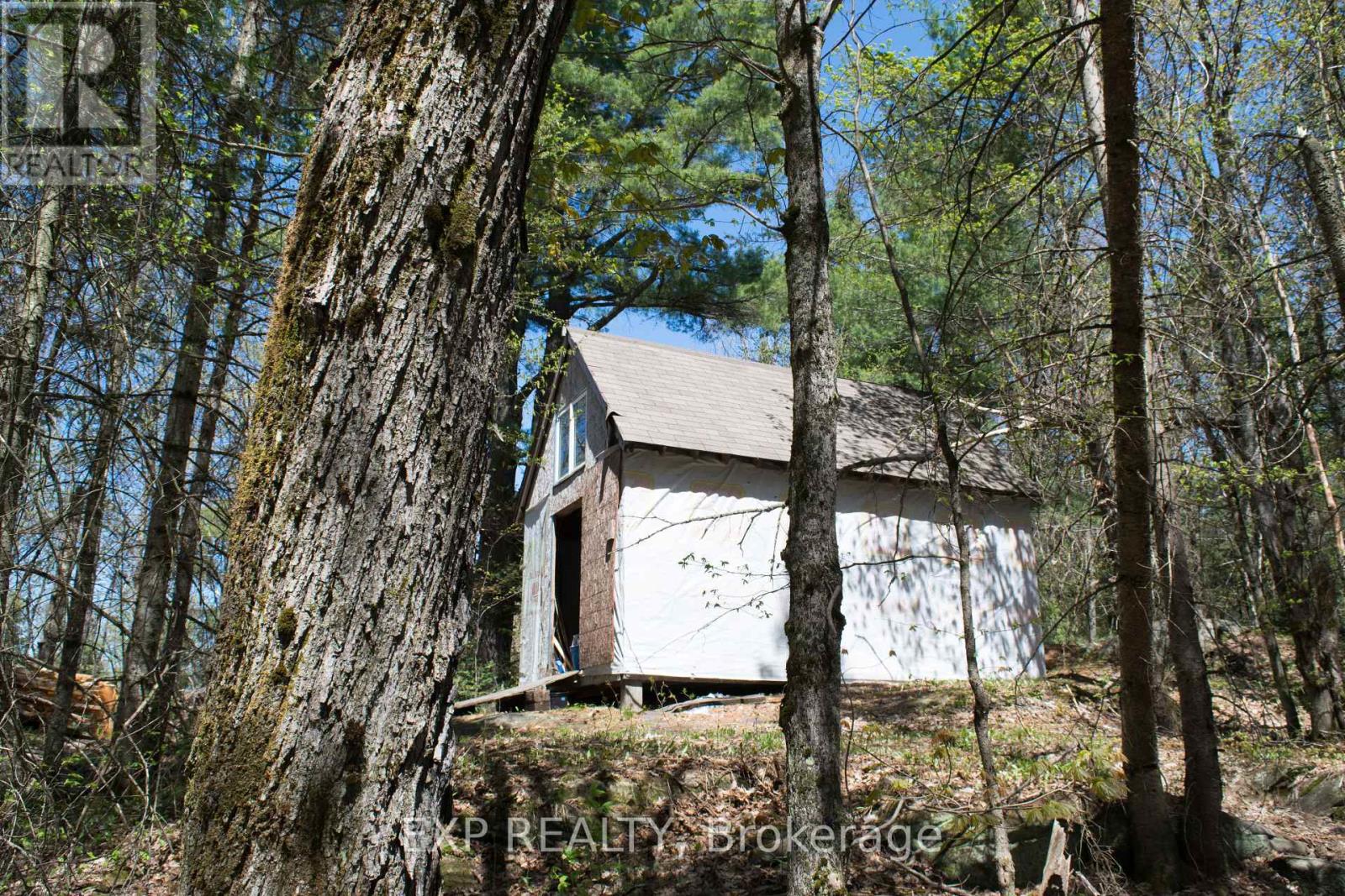 Residential in Muskoka Lakes (Cardwell) 2