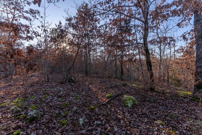 23 Acres013 | Image 15