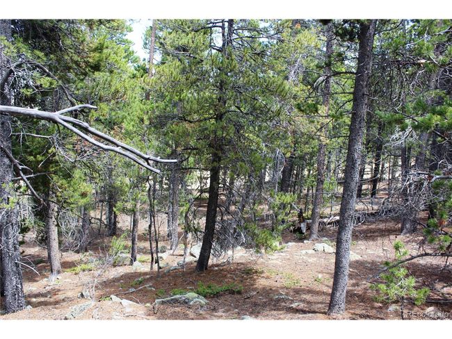 435 Aspen Rd, Home with 0 bedrooms, 0 bathrooms and null parking in Black Hawk CO | Image 36