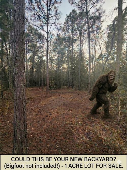 104 Coyote Run, New Waverly, TX, 77358 | Card Image