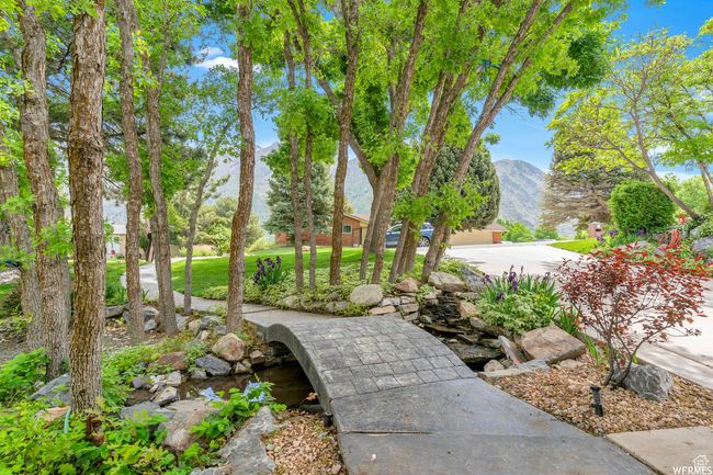 Bridge over koi pond | Image 5