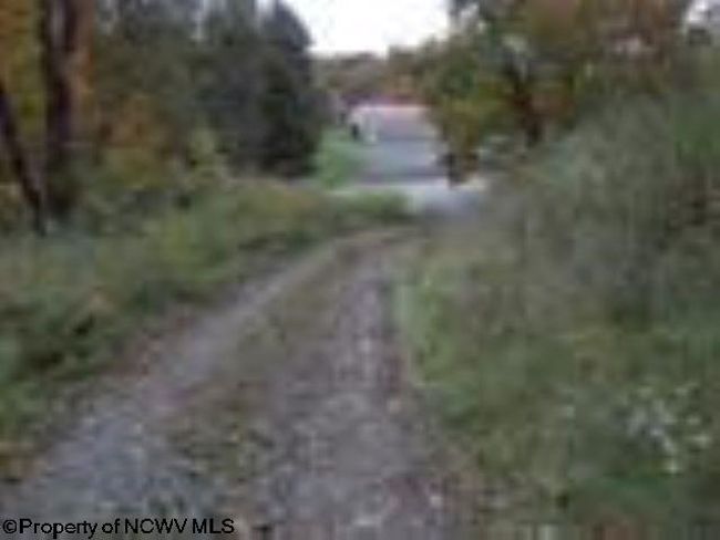 2410 Buckhannon Pike, Home with 0 bedrooms, 0 bathrooms and null parking in Mount Clare WV | Image 4
