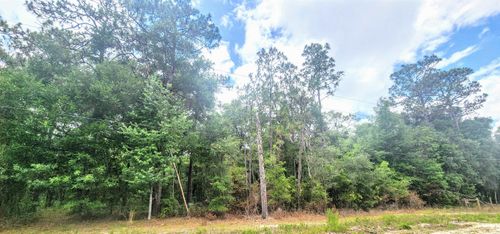 415 Pheasant Rd, Satsuma, FL, 32189-2336 | Card Image