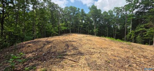 3.08ac Red Oak Dr, Valley Head, AL, 35989 | Card Image