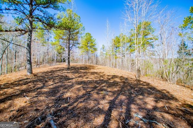 0 County Road 269, Home with 0 bedrooms, 0 bathrooms and null parking in Wedowee AL | Image 9
