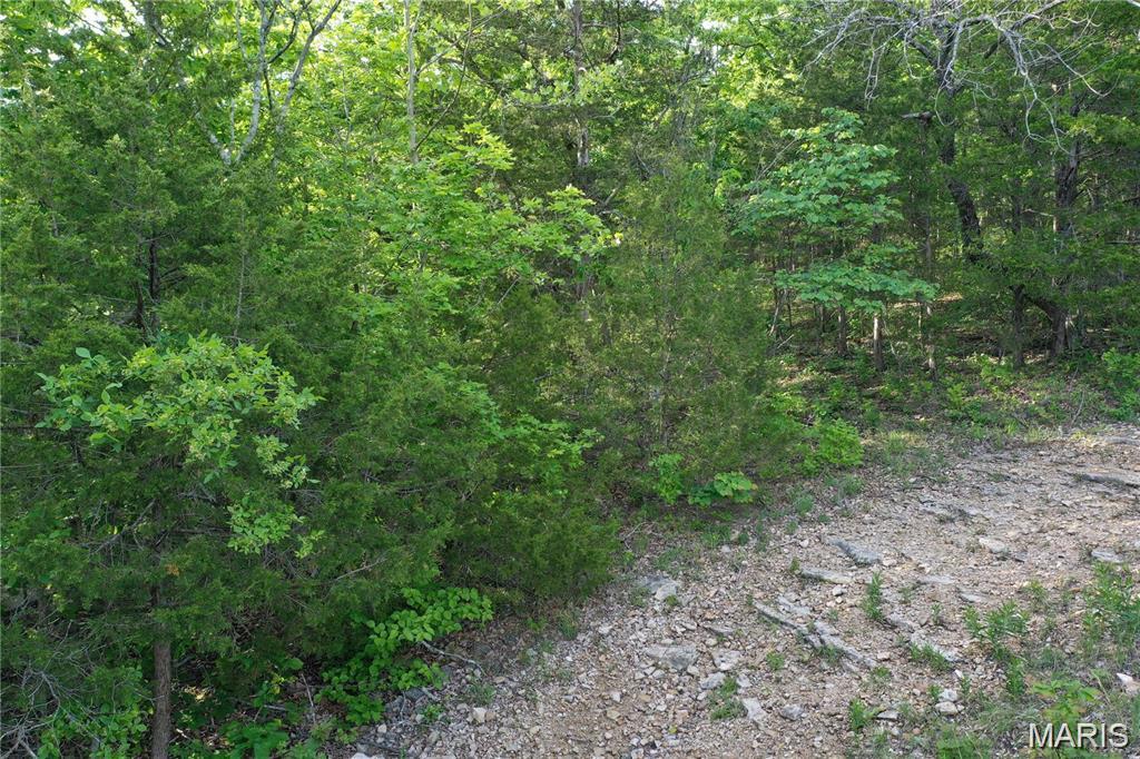 Land in Cedar Hill 3