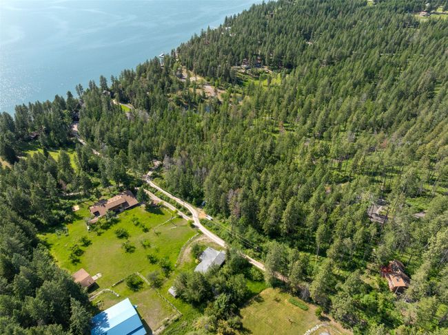 Aerial view of a forest | Image 84