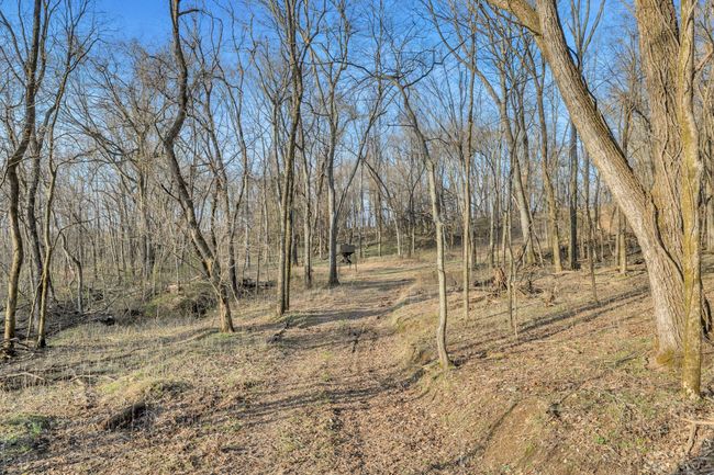 0 Fishing Ford Rd, Home with 0 bedrooms, 0 bathrooms and null parking in Belfast TN | Image 34