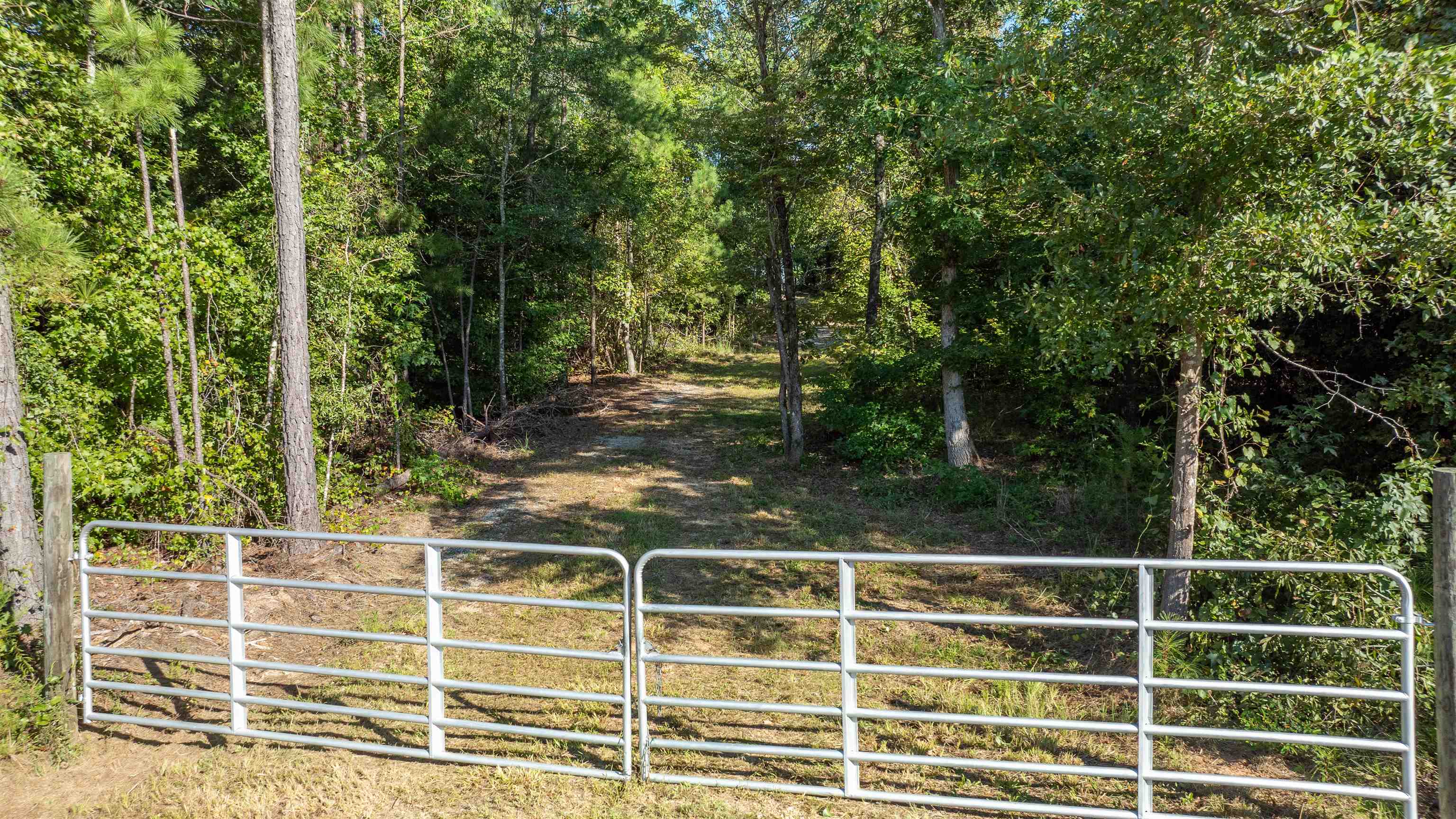 Land in Greensboro 2