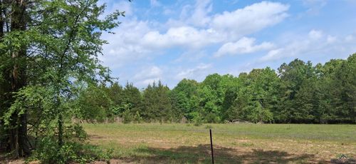 tbd County Road 1581, Avinger, TX, 75630 | Card Image