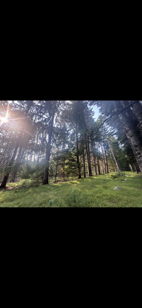 TBD Ridgwood, Grand Rapids, MN, 55744 | Card Image