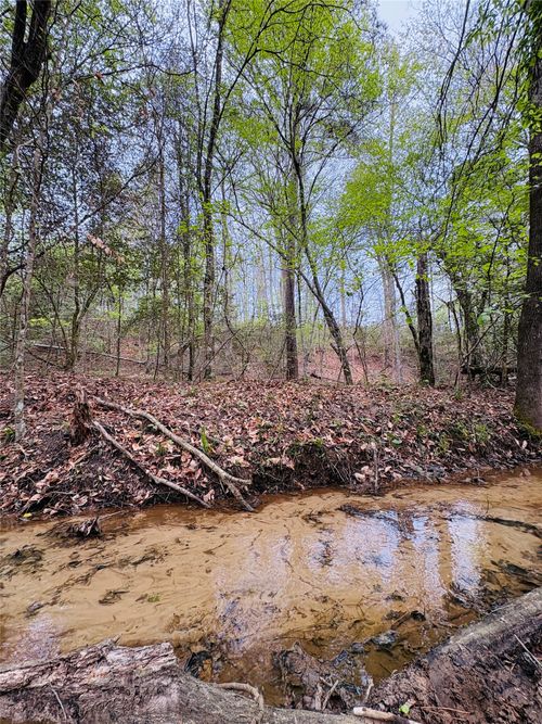 TBD (Tract A) Fm 711, Center, TX, 75935 | Card Image