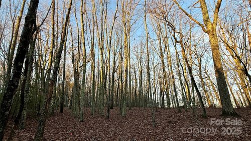 1615 Fox Dairy Rd, Newton, NC, 28658-9663 | Card Image