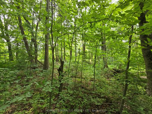 000 Cedar Sands Roadway, Lyndhurst, ON, K0E1N0 | Card Image