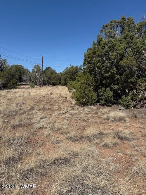 1858 Rainbow Cir, Show Low, AZ, 85901-7044 | Card Image