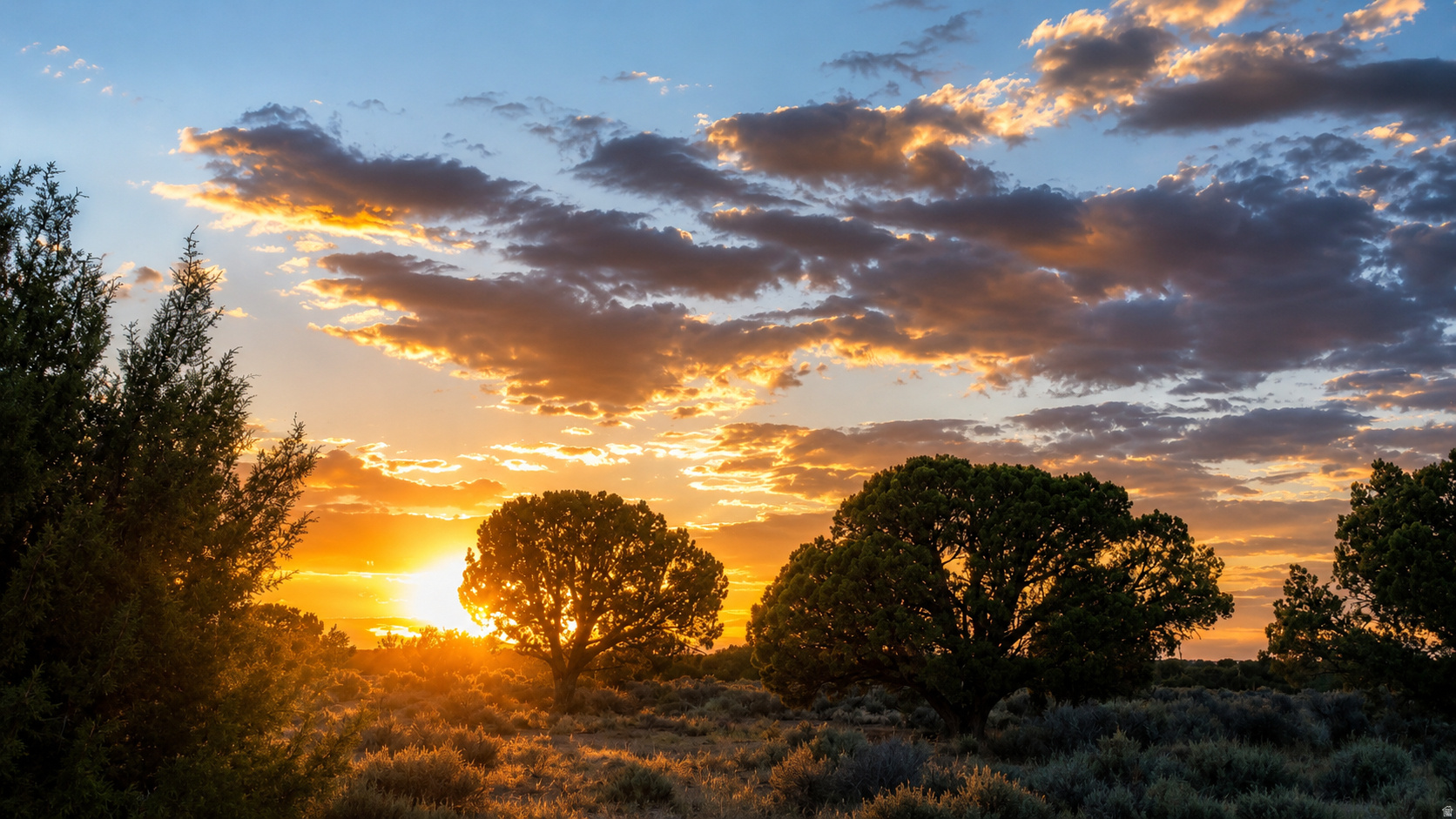 Land in Cedar City 5