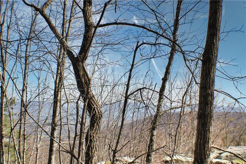 0 Highway 157, Rising Fawn, GA, 30738 | Card Image