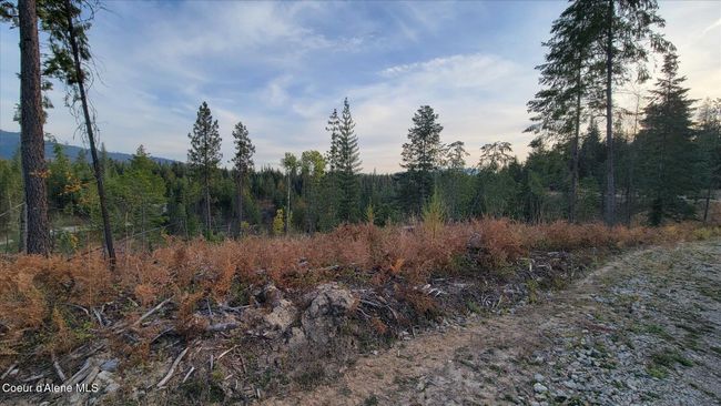 2 Pioneer Ln, Home with 0 bedrooms, 0 bathrooms and null parking in Priest River ID | Image 5