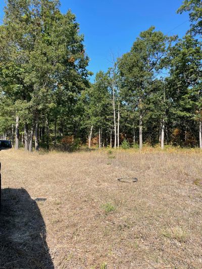 70.66 Acres M 55, Home with 0 bedrooms, 0 bathrooms and null parking in Manistee MI | Image 3