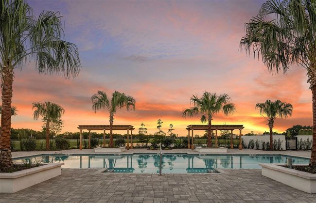 Resort Style Swimming Pool | Image 19