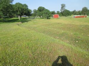 Land in Palo Cedro 5