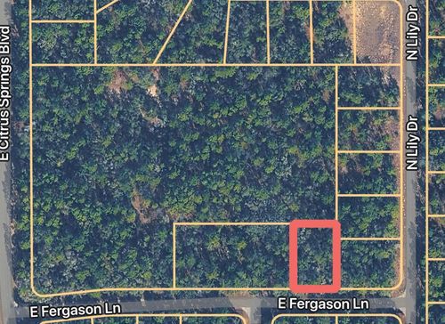 1409 E Fergason Ln, CITRUS SPRINGS, FL, 34434 | Card Image